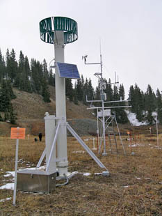 Swamp Angel Mast